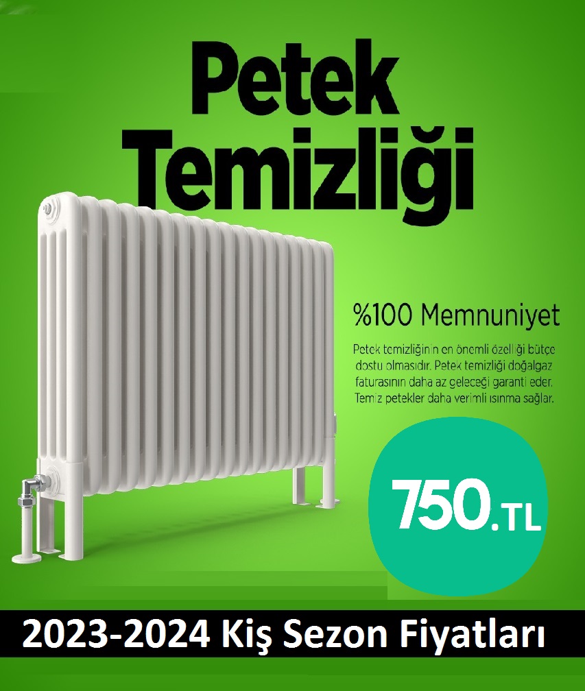 Okmeydani Petek temizleme